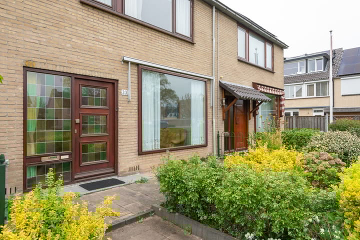 Foto 4 van Pinksterbloem 20