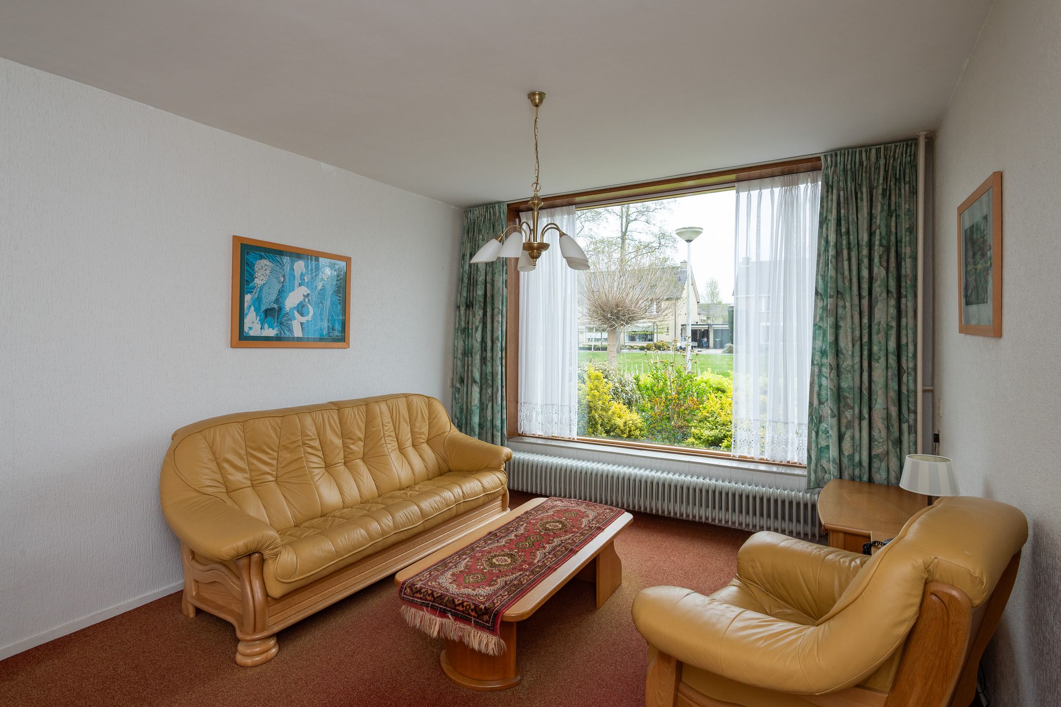 Foto 6 van Pinksterbloem 20