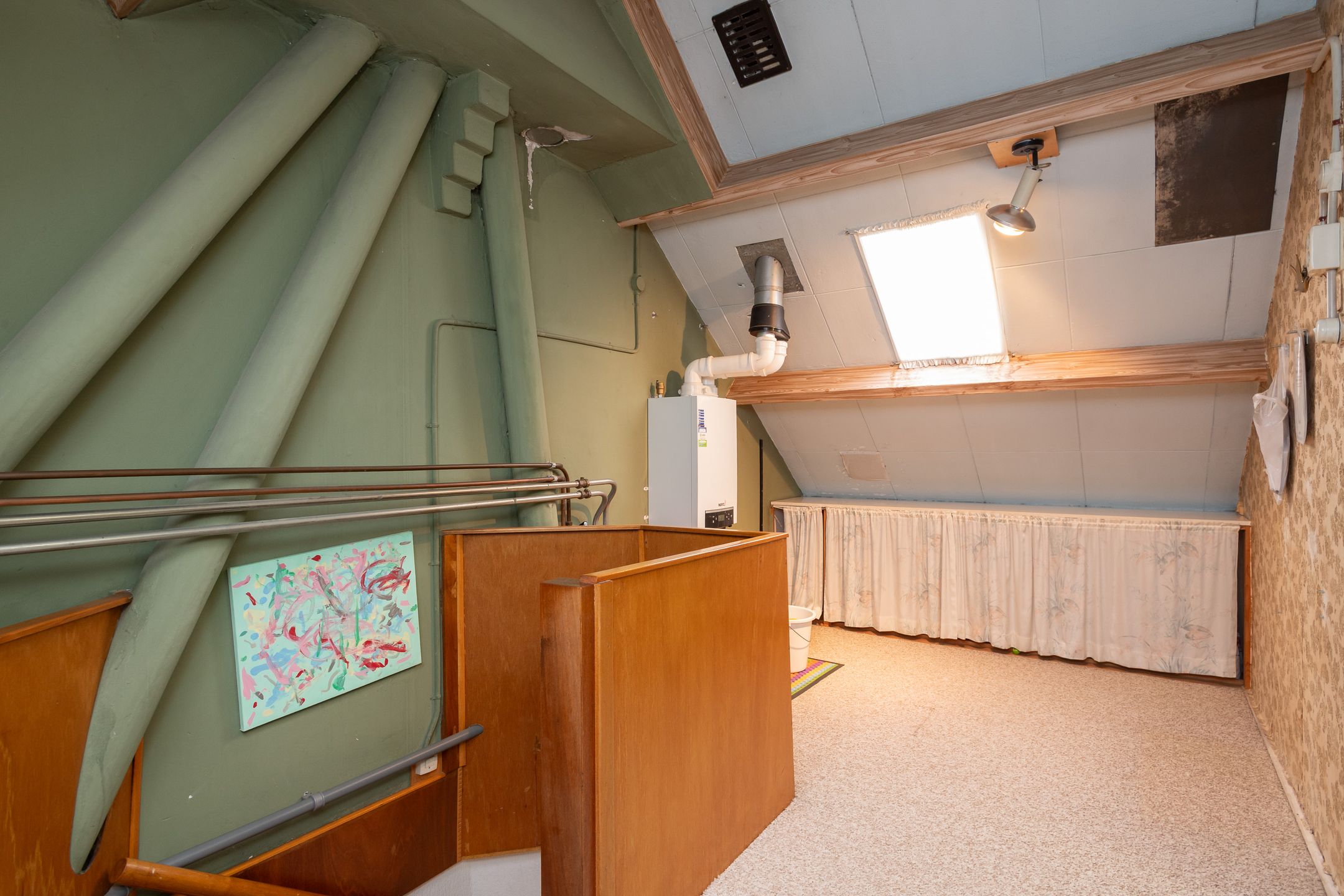 Foto 18 van Pinksterbloem 20