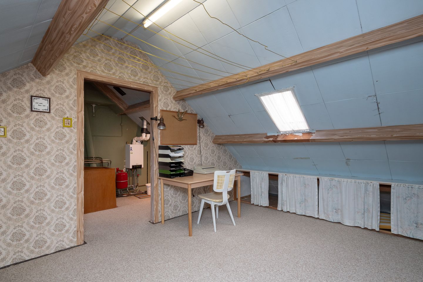 Foto 20 van Pinksterbloem 20