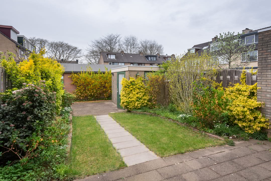 Foto 23 van Pinksterbloem 20