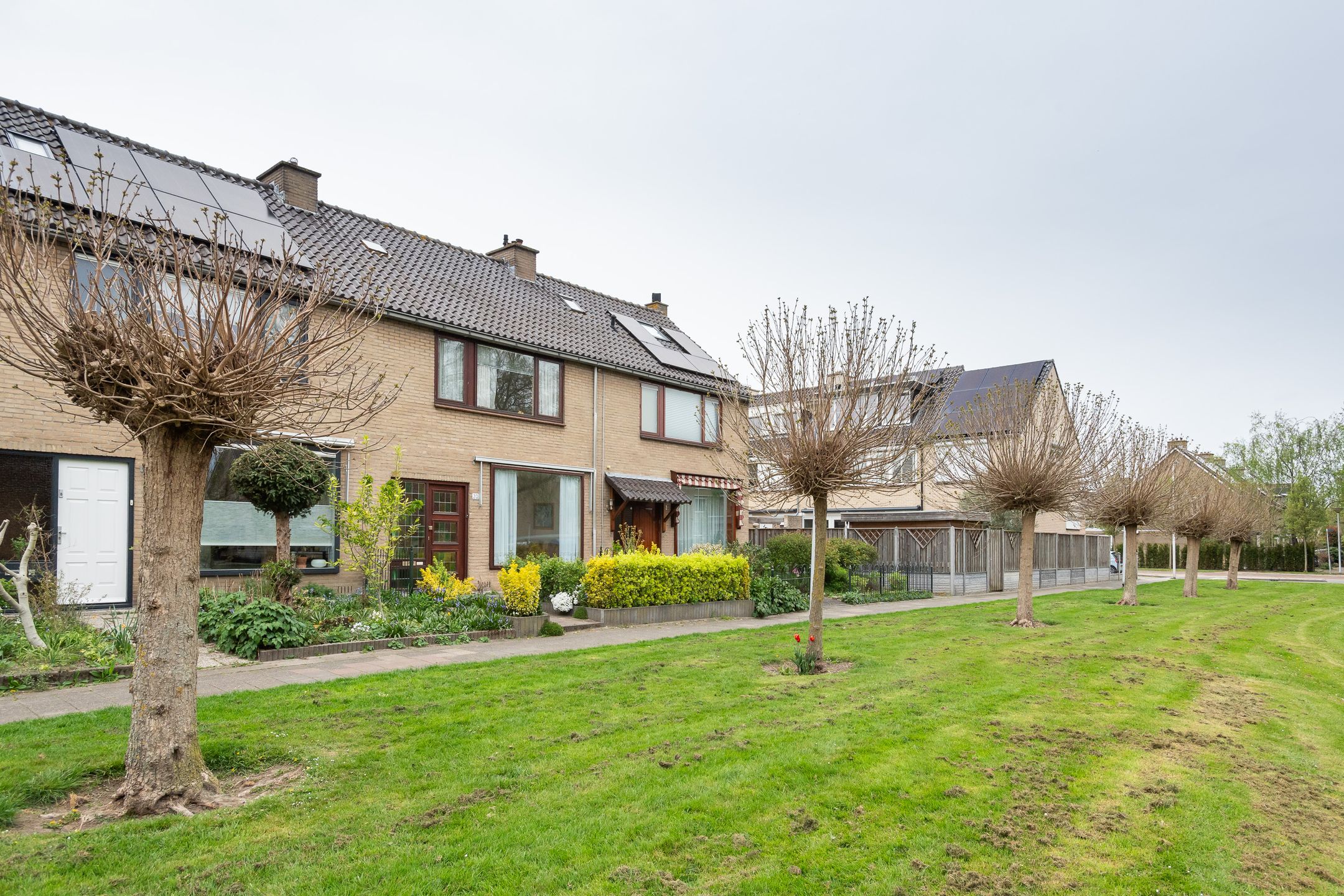 Foto 24 van Pinksterbloem 20