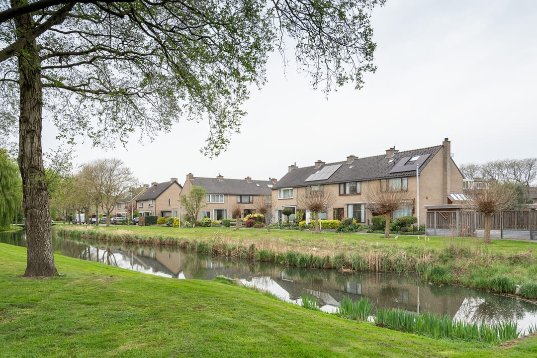 Foto 26 van Pinksterbloem 20