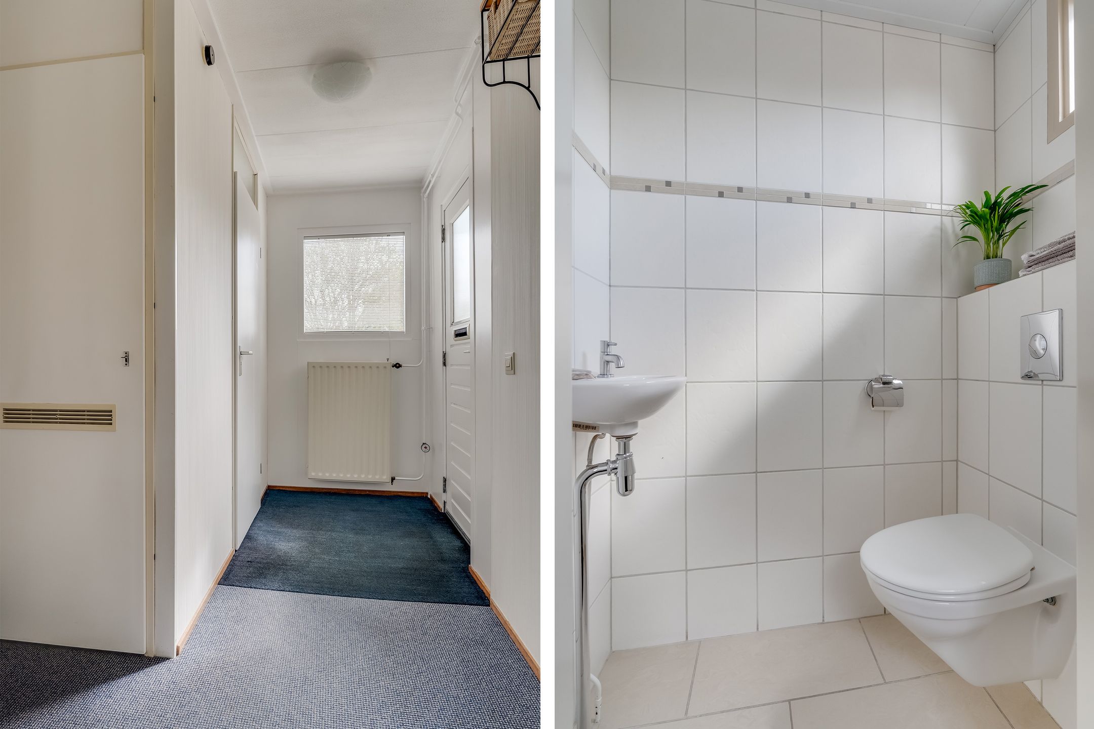 Foto 6 van Velduil 52