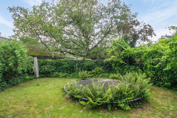 Foto 59 van Heuvel 24