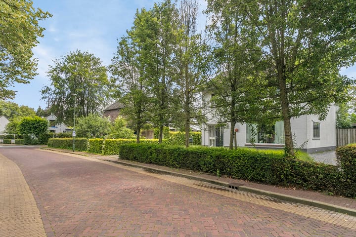 Foto 60 van Heuvel 24