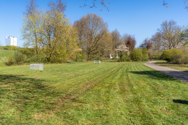 Foto 31 van Velduil 52