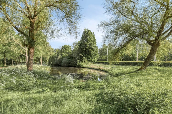 Foto 31 van Cordell Hullplaats 137