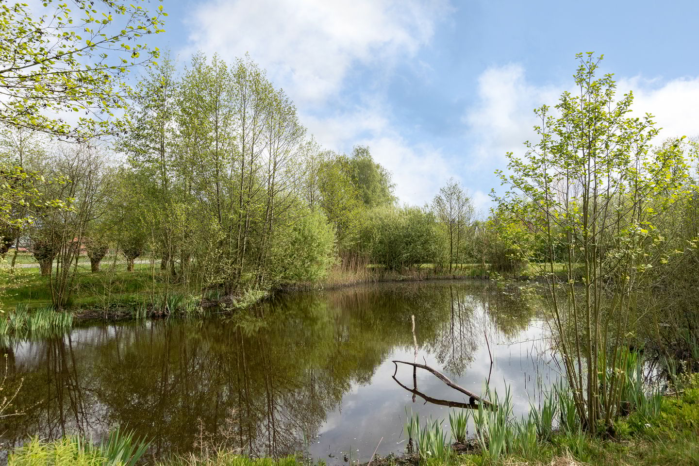 Photo 44 of Diepenheimseweg 47