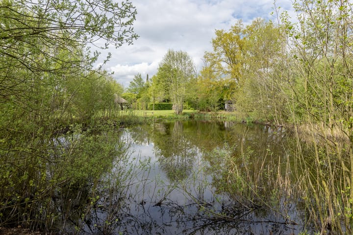 Foto 45 van Diepenheimseweg 47