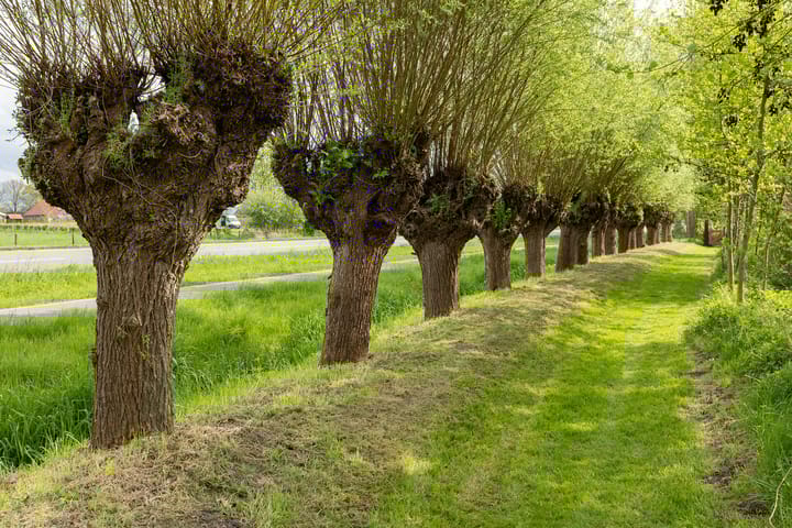 Foto 51 van Diepenheimseweg 47