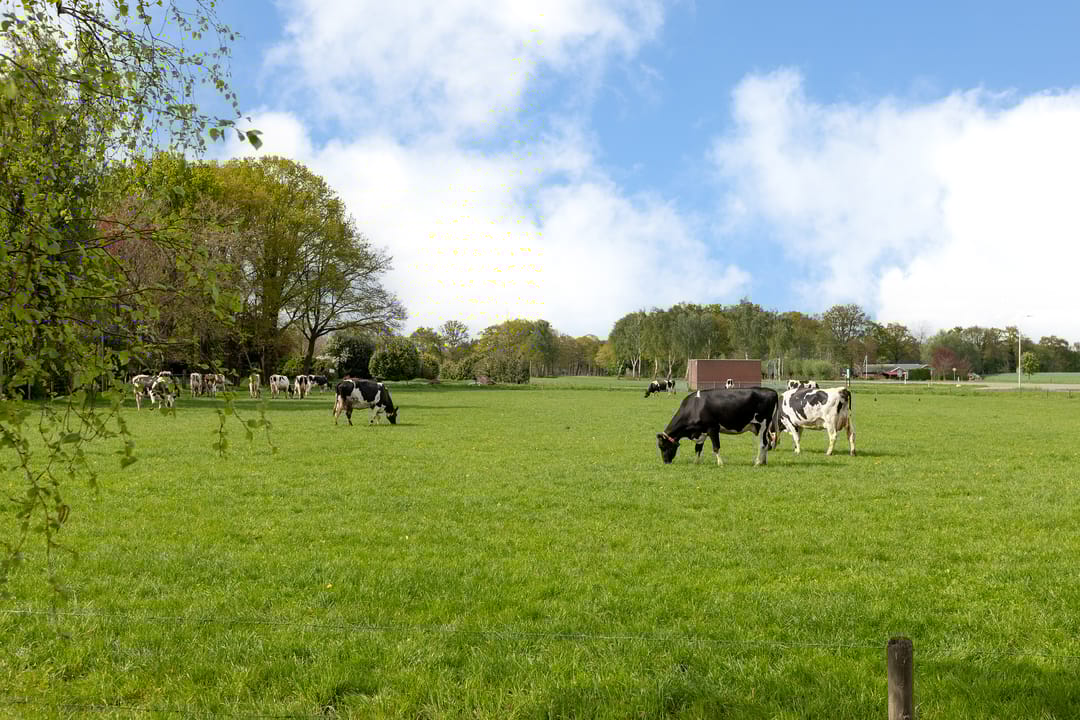 Photo 52 of Diepenheimseweg 47