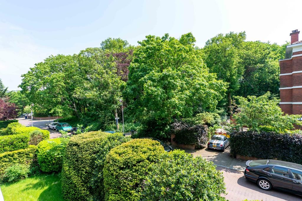 Photo 9 of Van Kijfhoeklaan 108