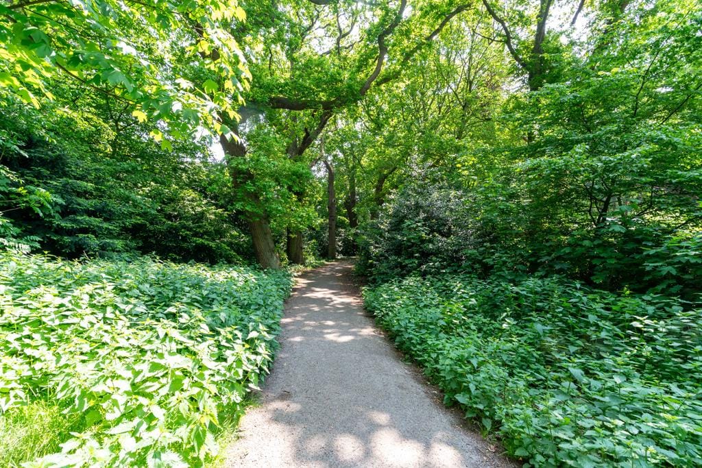 Photo 29 of Van Kijfhoeklaan 108