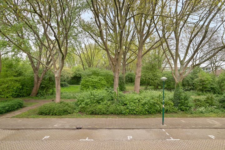 Photo 29 of Dr Holwerdastraat 5