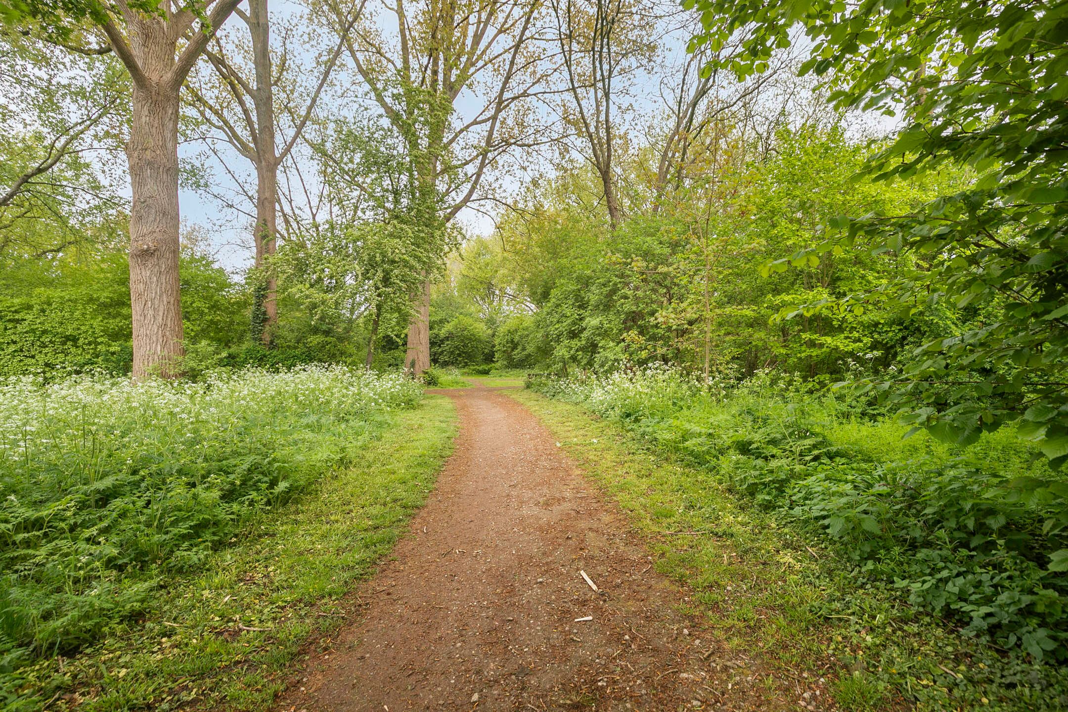 Foto 30 van Dr Holwerdastraat 5