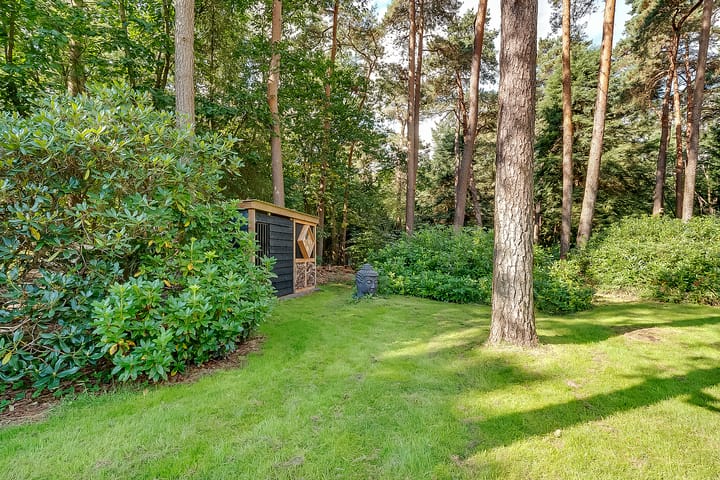 Foto 56 van Dennenweg 17-A