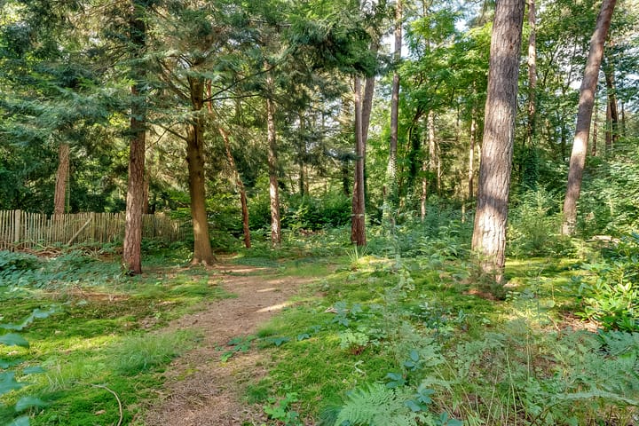 Foto 57 van Dennenweg 17-A