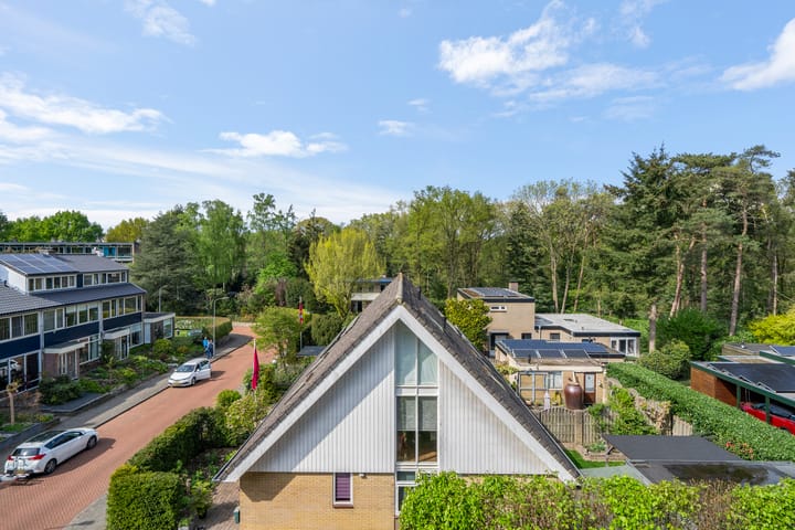 Foto 33 van Wagenaarlaan 44