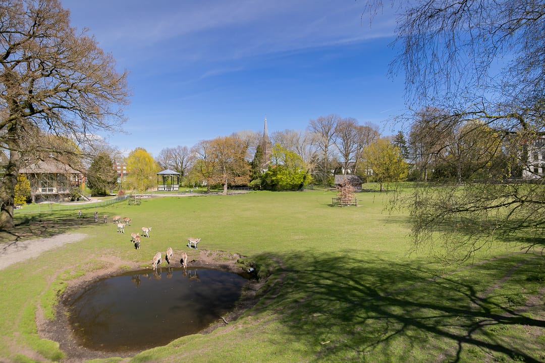 Foto 43 van Steenwijkerdiep 107