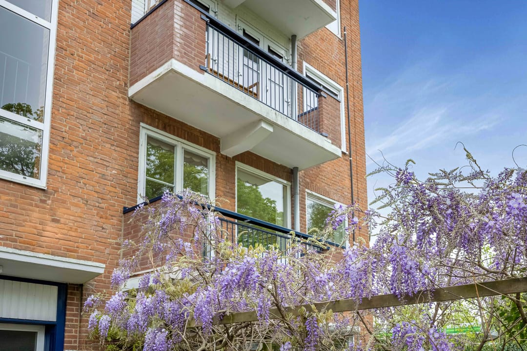 Photo 2 of de Engh 1-I