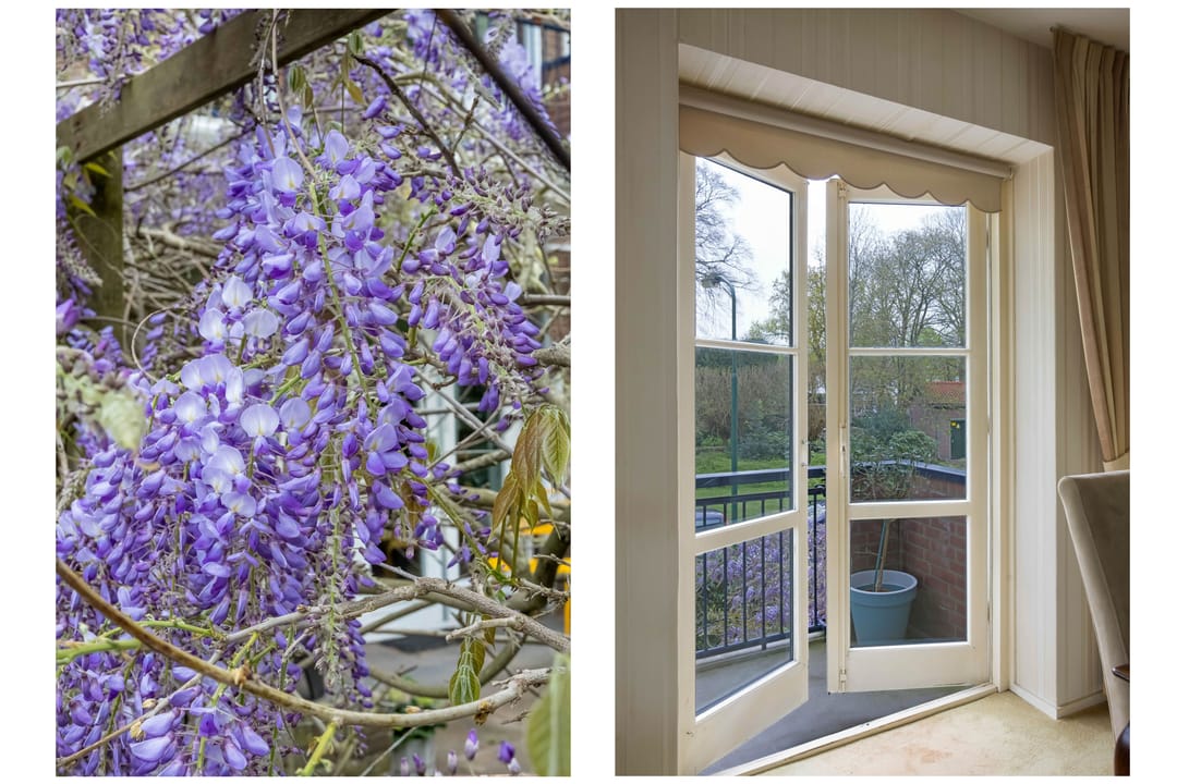 Photo 7 of de Engh 1-I