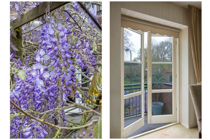 Foto 7 van de Engh 1-I