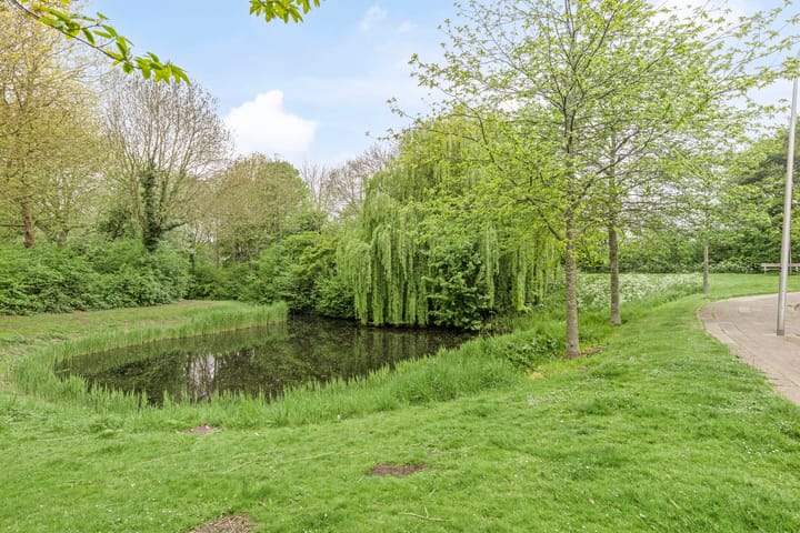 Foto 26 van de Berk 10