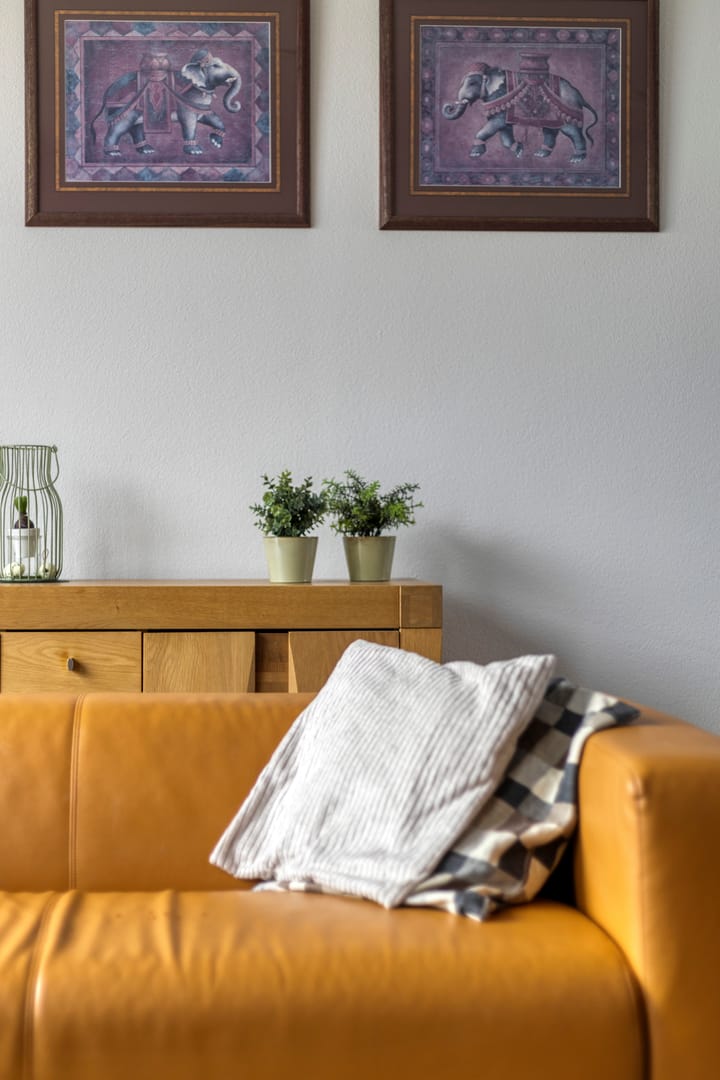 Foto 15 van Brabantsestraat 22