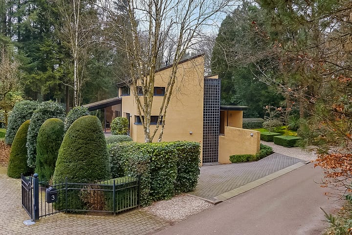 Foto 2 van Larikslaan 5