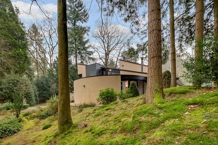 Foto 9 van Larikslaan 5