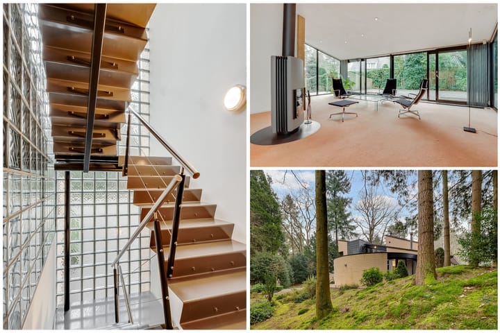 Foto 43 van Larikslaan 5