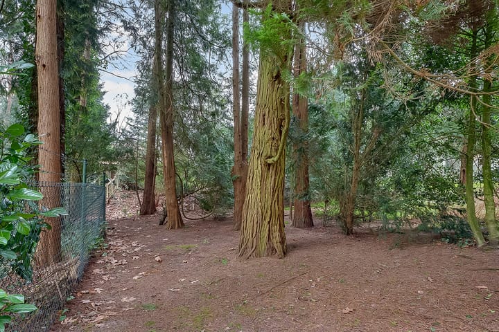 Foto 58 van Larikslaan 5