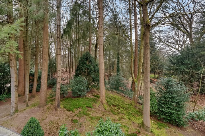 Foto 57 van Larikslaan 5