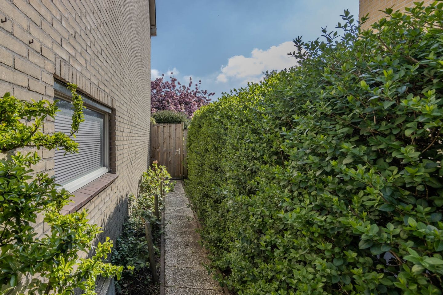 Foto 20 van Keplerlaan 47