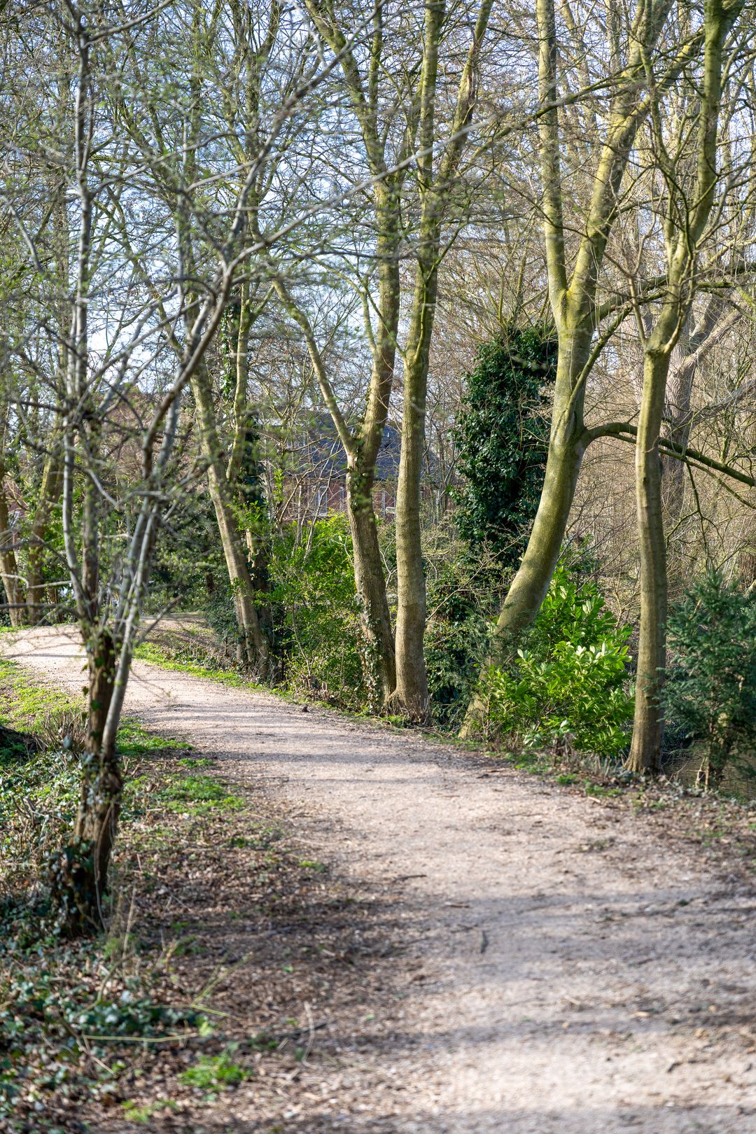 Foto 31 van De Vennen 38