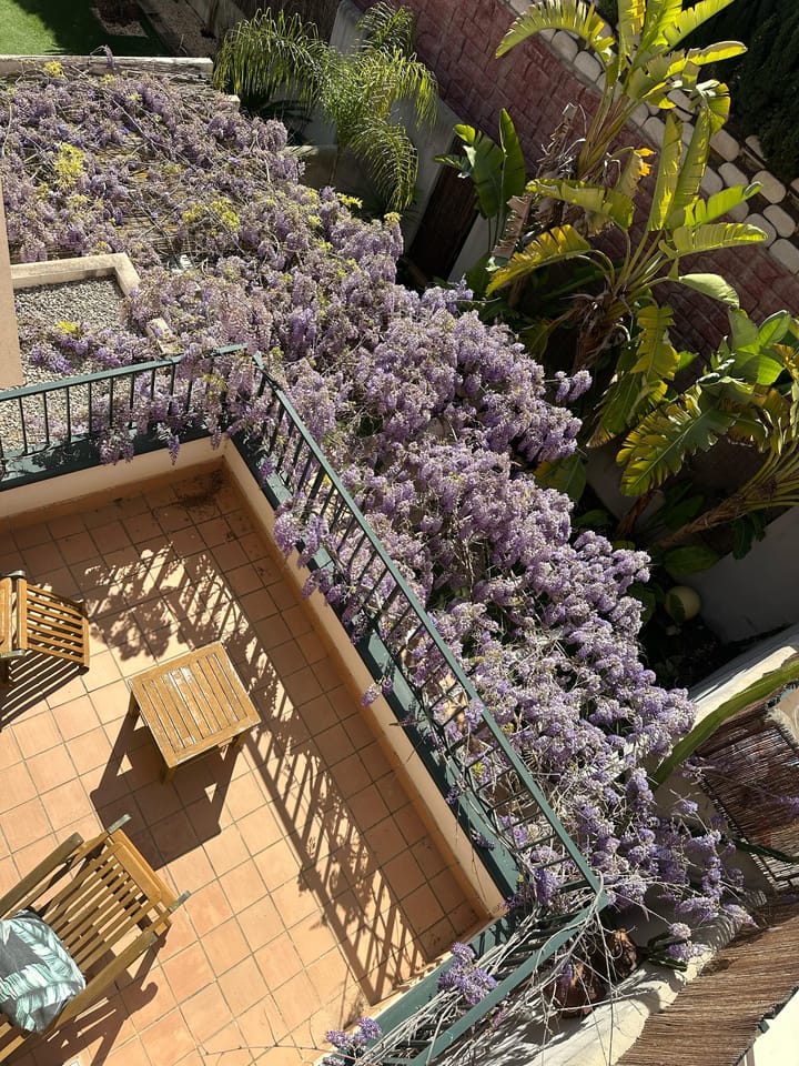 Foto 18 van Calle Sant Ferran