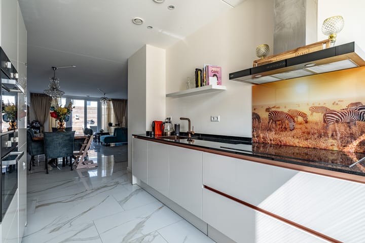 Foto 8 van van Swietenstraat 1-B