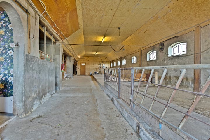 Foto 39 van Foijingaweg 63