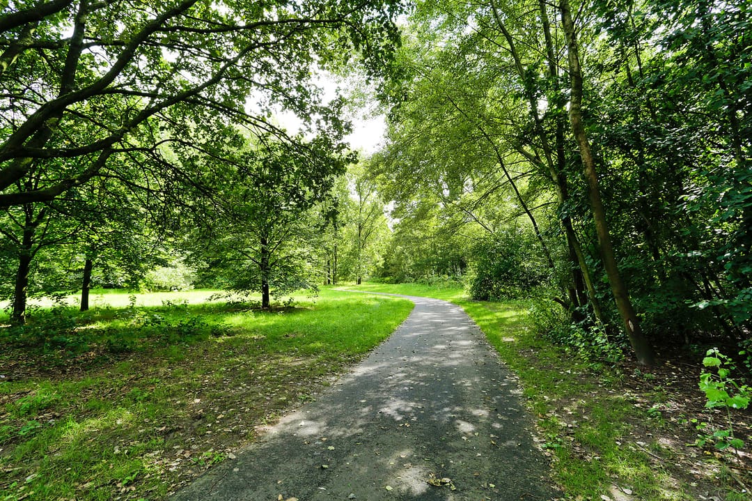 Foto 37 van Ganzenstraat 40