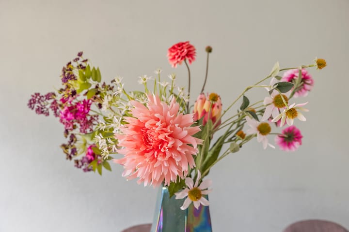 Foto 5 van Multatulistraat 16