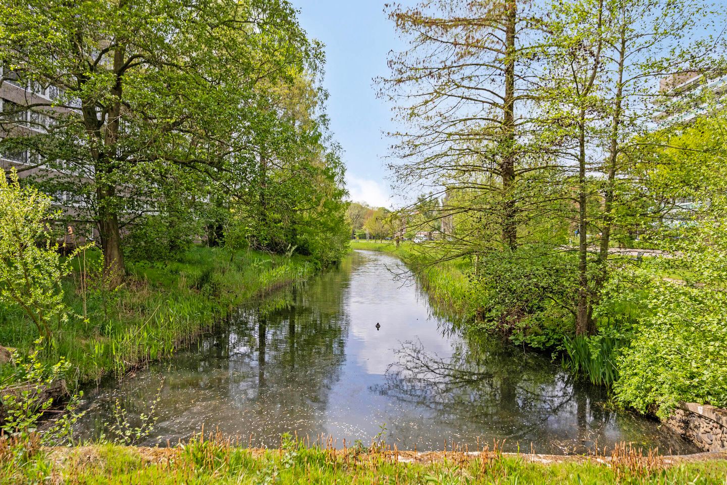 Foto 35 van Ganzenstraat 40