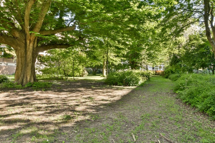 Foto 29 van Kanteel 25