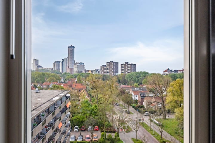 Foto 3 van Vredehoflaan 286