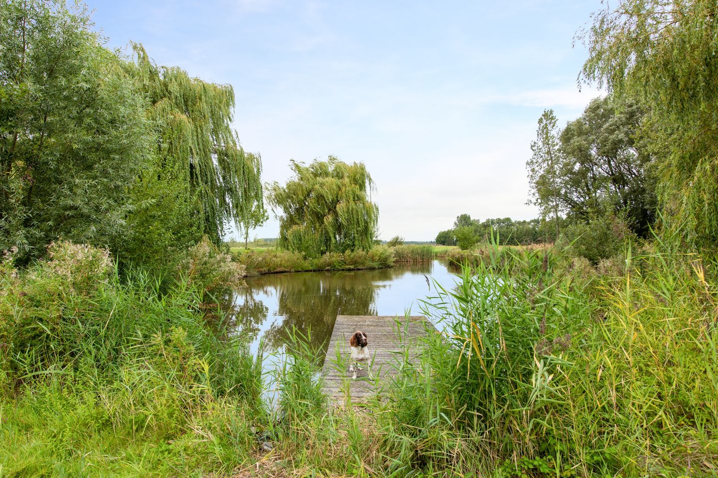 Foto 34 van Geerweg 6