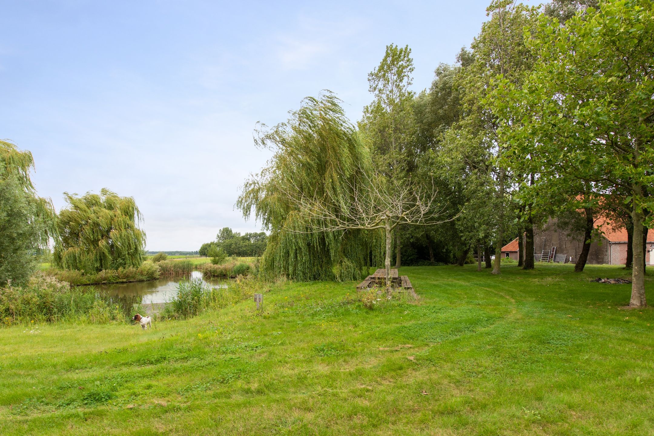 Foto 36 van Geerweg 6