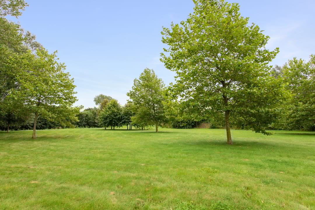 Foto 37 van Geerweg 6