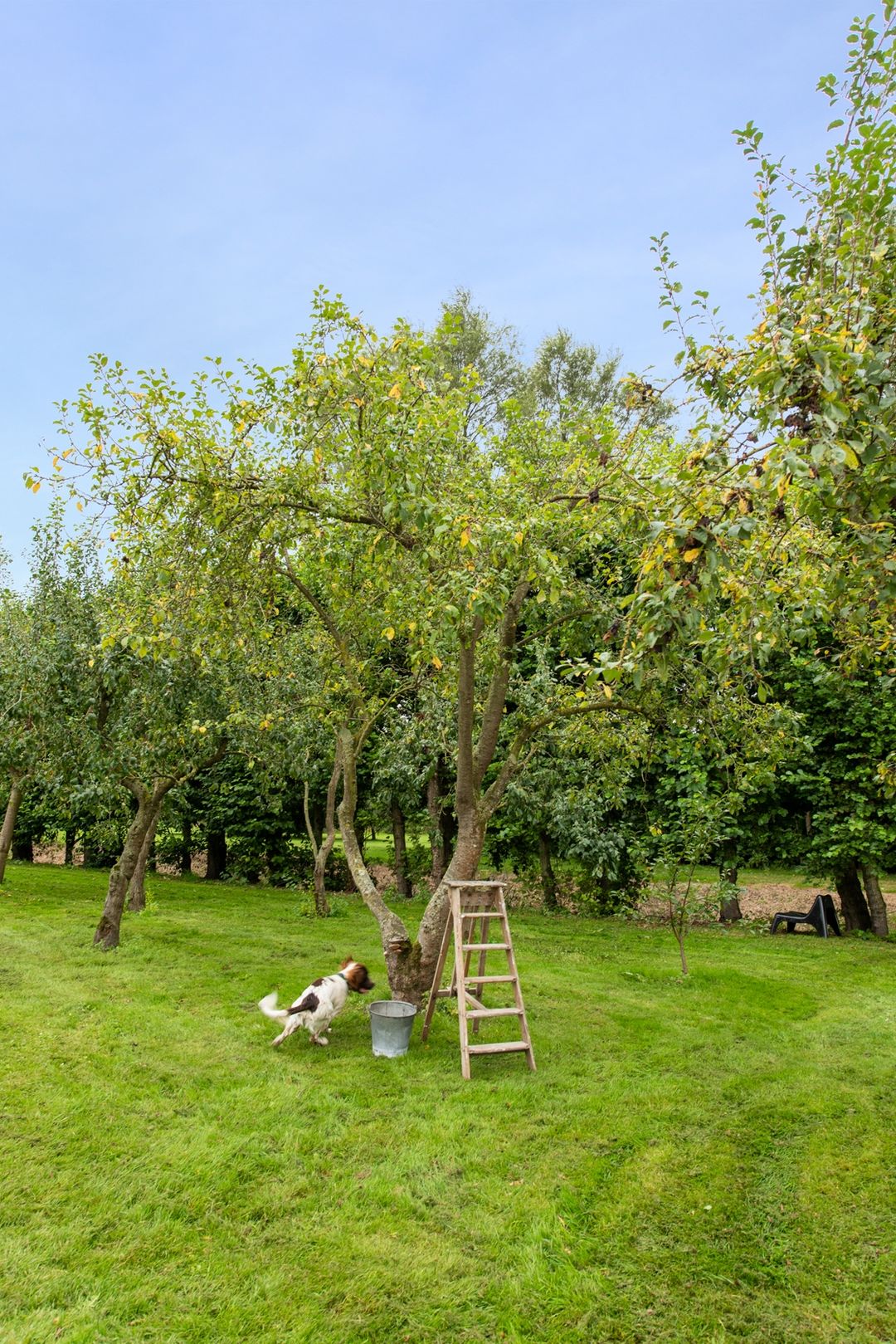 Foto 38 van Geerweg 6