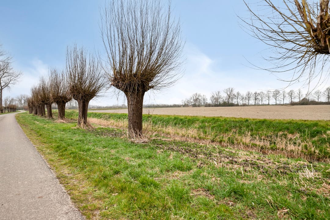 Foto 97 van Lageweg 4