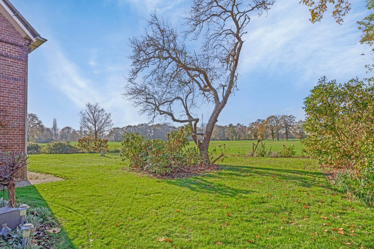 Foto 44 van Steenmorsweg 8